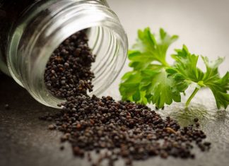 18 Animals With Ridiculously Misleading Names. Where Did They Come Up With These? Recipebread Kitchen