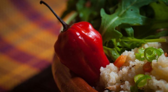 What This Man Did For The Woman He Loves Makes Everyone Else Look Bad. Tomato Photo 6