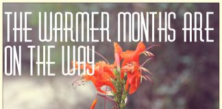 Tips to Help You Get to Summer!