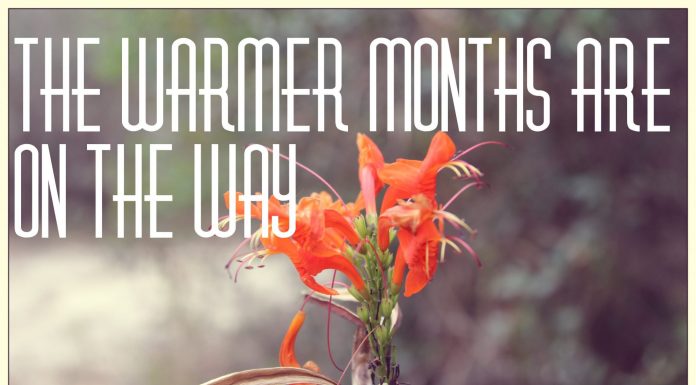 Tips to Help You Get to Summer!