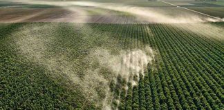 Ed Burtynsky’s Aerial Pictures of Watery Landscape