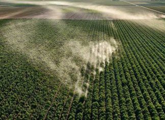 Ed Burtynsky’s Aerial Pictures of Watery Landscape