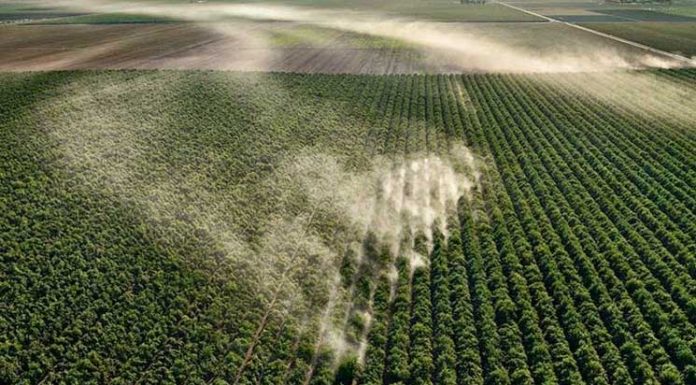 Ed Burtynsky’s Aerial Pictures of Watery Landscape