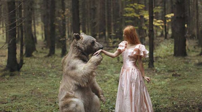 Russian Photographer Takes Stunning Portraits With REAL Animals