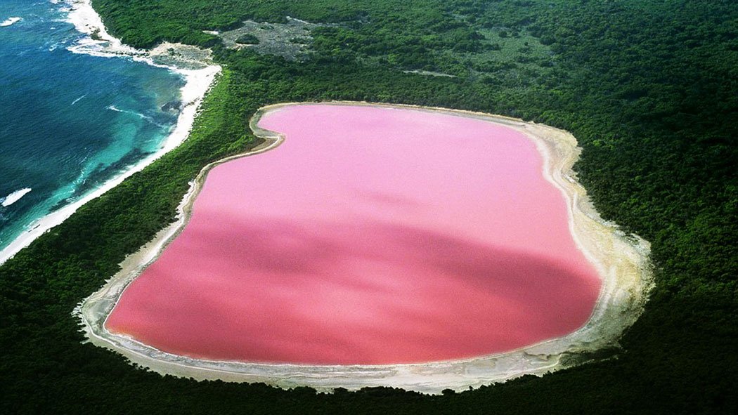 Lake Hillier, the most fabulous lake in Australia. (Not my photo, thank a man named Ralph Roberts.)