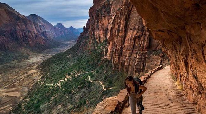 Tom From Myspace Is Amazing At Instagram