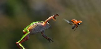 20 Rare Images of the World Unseen