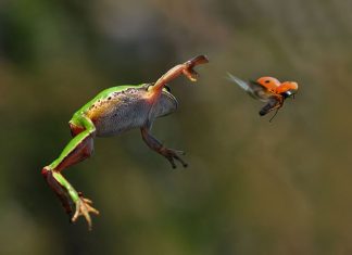 20 Rare Images of the World Unseen