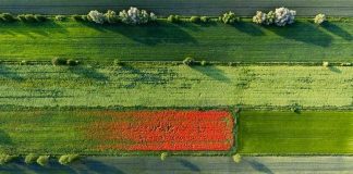 Human Impact on Poland’s Environment As Seen From Air