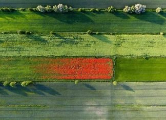 Human Impact on Poland’s Environment As Seen From Air