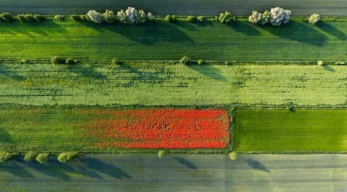 Human Impact on Poland’s Environment As Seen From Air