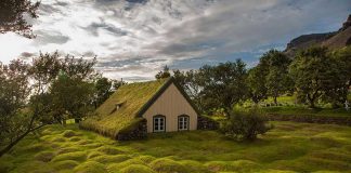 30+ Reasons Why You Need To Visit Iceland Right Now