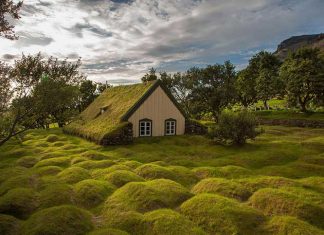 30+ Reasons Why You Need To Visit Iceland Right Now