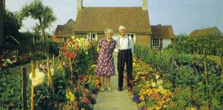 A couple took pictures every season but your heart will not be able to handle last picture.