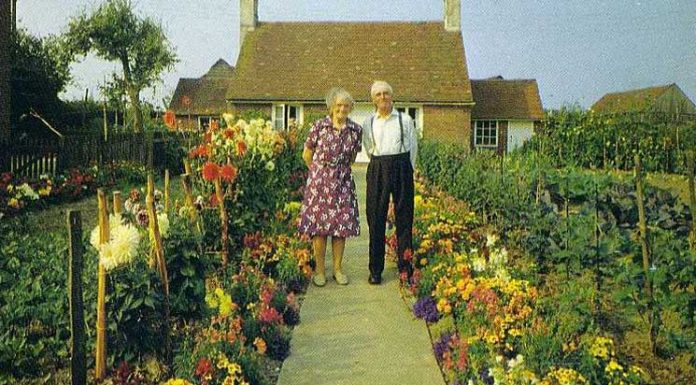 A couple took pictures every season but your heart will not be able to handle last picture.