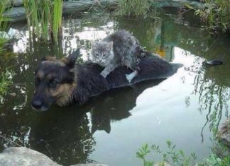 Beautiful! Photo that changed the meaning of Love and Solidarity