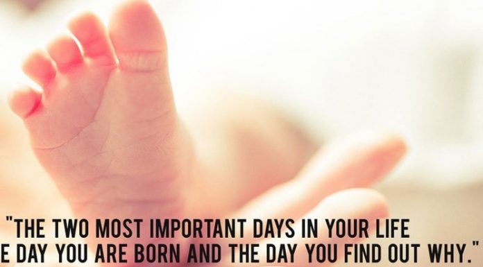 15 Quotes to Inspire You to Do Something Meaningful Today