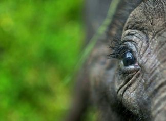 Heartwarming Animal Love Pictures From Your Shot