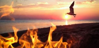 iPhone on the Road by Alison Turner