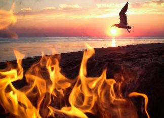 iPhone on the Road by Alison Turner