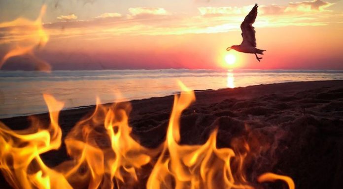 iPhone on the Road by Alison Turner