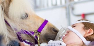 33 Aggressively Adorable Photos To Restore Your Faith In The World