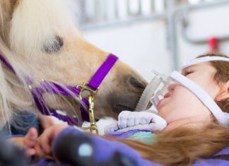 33 Aggressively Adorable Photos To Restore Your Faith In The World