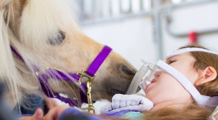 33 Aggressively Adorable Photos To Restore Your Faith In The World