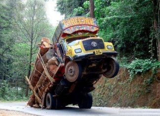 19 Photos From India That Demand An Explanation