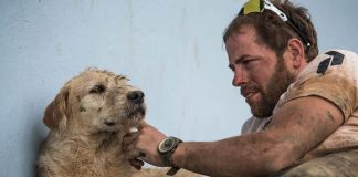 Stray Dog Joins Team And Completes Gruelling Six-Day Race