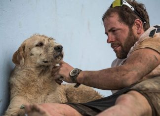 Stray Dog Joins Team And Completes Gruelling Six-Day Race