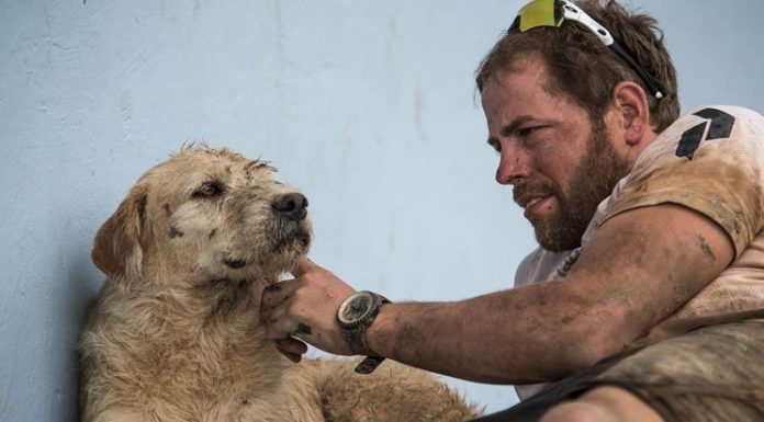 Stray Dog Joins Team And Completes Gruelling Six-Day Race