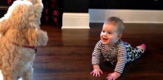 A Baby and Her Loyal Dog Have the Squeakiest Conversation Ever