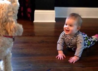 A Baby and Her Loyal Dog Have the Squeakiest Conversation Ever