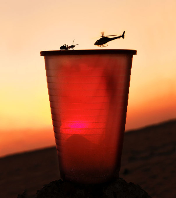 18. This ant awaiting the landing of an ant-sized helicopter...