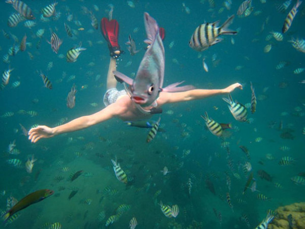 19. This peculiar mer-fish.