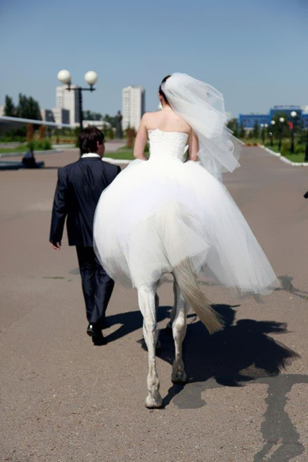 15.This beautiful horse bride.