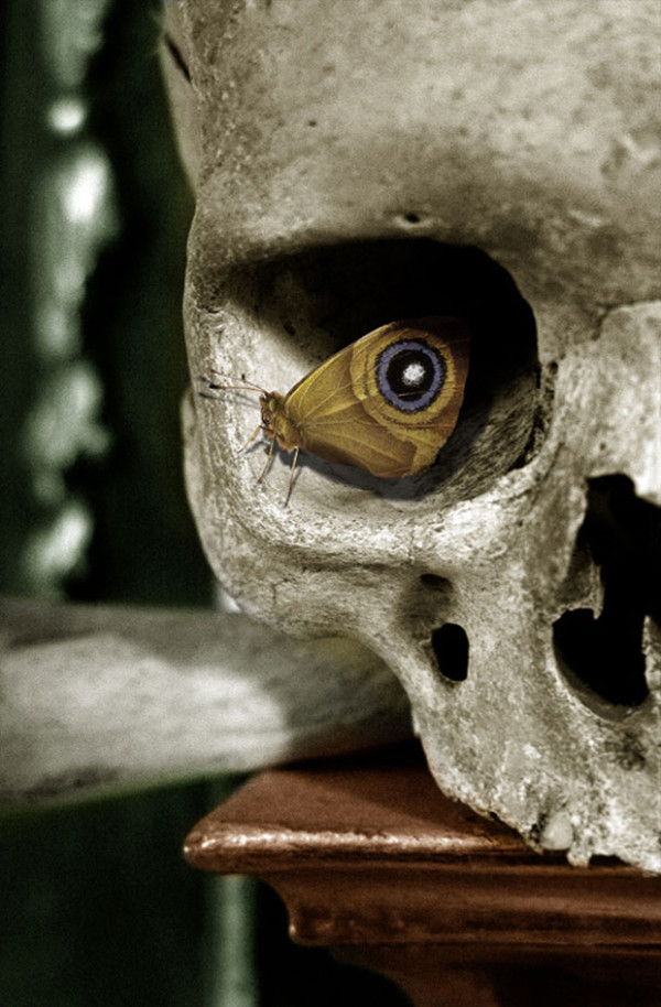 14. This skull with a rather fascinating eye...