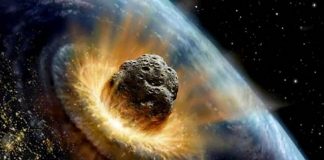 17 Facts You’ll Wish You Never Learned