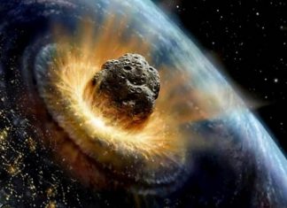 17 Facts You’ll Wish You Never Learned