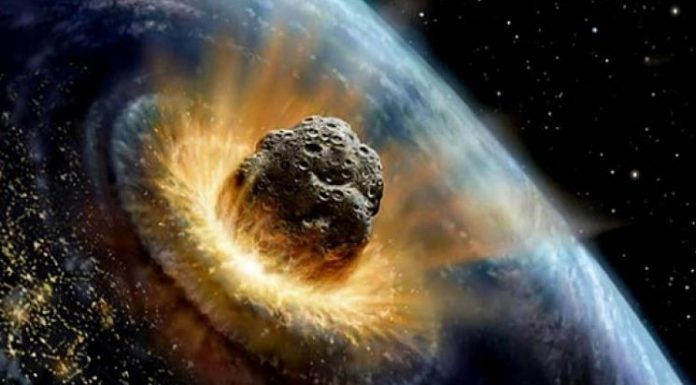 17 Facts You’ll Wish You Never Learned