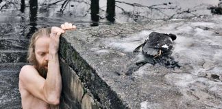 We Challenge You To Watch This Norwegian Man Save A Duck From An Ice Pond, Without Swooning