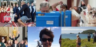 15 stand-out Photobombs of 2014