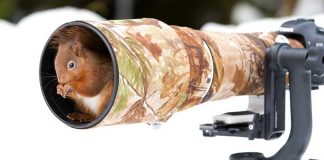 19 Photos of Animals Getting Cozy with Camera Gear