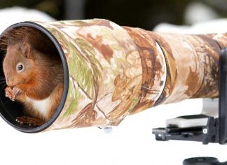 19 Photos of Animals Getting Cozy with Camera Gear