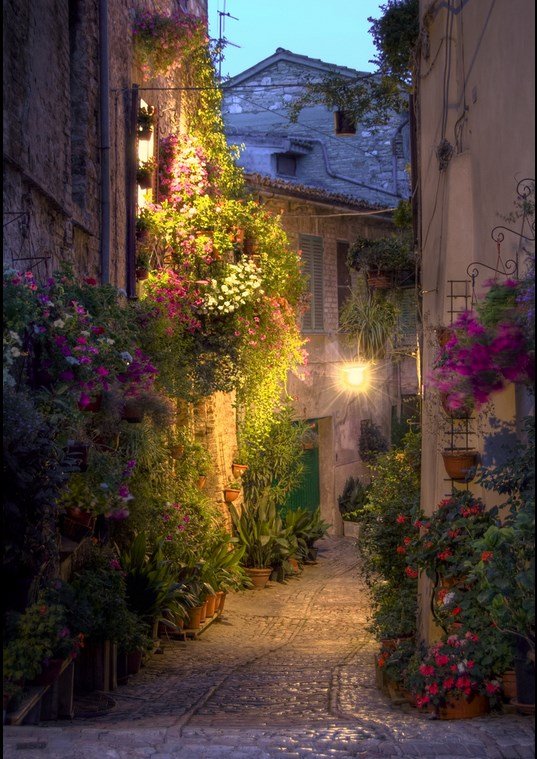 Calle Spello - Umbria - Italia