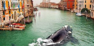 These Dreamlike Photo Manipulations Were Created Using Only an iPhone