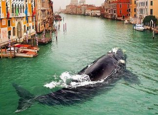 These Dreamlike Photo Manipulations Were Created Using Only an iPhone