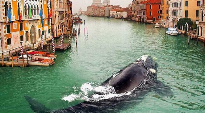 These Dreamlike Photo Manipulations Were Created Using Only an iPhone