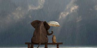 34 Not Especially Random Acts Of Kindness To Try Out Today